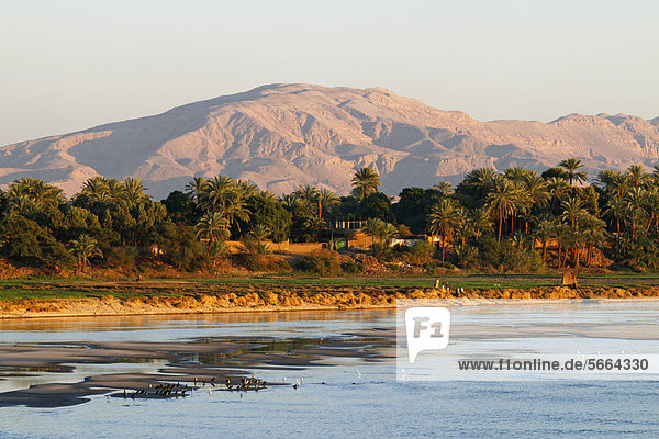 Sonnenuntergang am Nil  Ägypten  Afrika