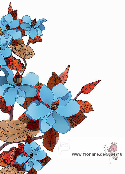 Blaue Blumen und Schmetterling auf weißem Hintergrund