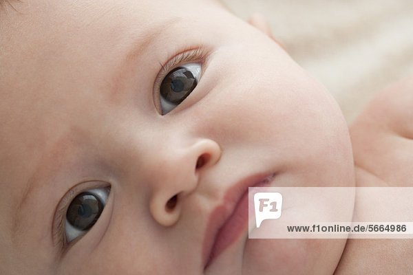 Baby boy  close-up portrait