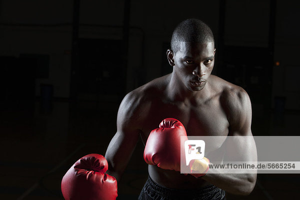 Boxer in boxing gloves  portrait