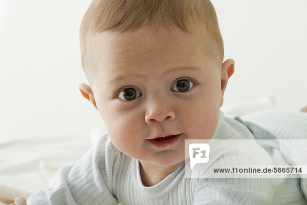 Baby boy looking at camera with wide eyes  portrait