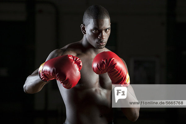 Boxer wearing boxing gloves in fighting stance  portrait