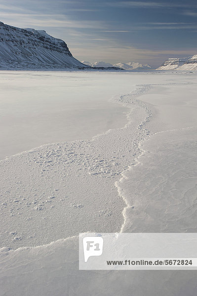 Ice of a frozen fjord  Tempelfjorden  Spitsbergen  Svalbard  Norway  Europe