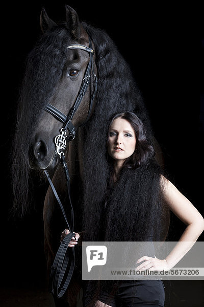 Friesian or Frisian horse breed with young woman wrapped in its long mane  gelding  black horse