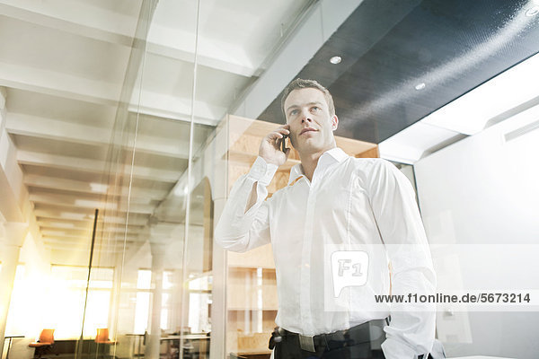 Businessman in office telephoning