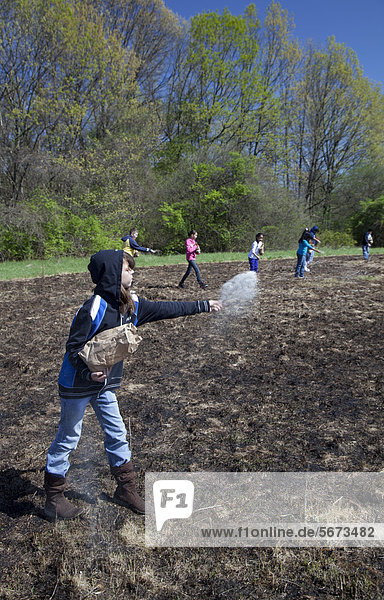 Schüler der vierten und fünften Klassen der Priest Elementary School säen einheimischen Pflanzensamen auf einer Wiese im River Rouge Park die zuvor abgebrannt wurde um invasive Arten zu vernichten und die Wiederherstellung des natürlichen Prärie-Habitats zu erleichtern Detroit Michigan USA