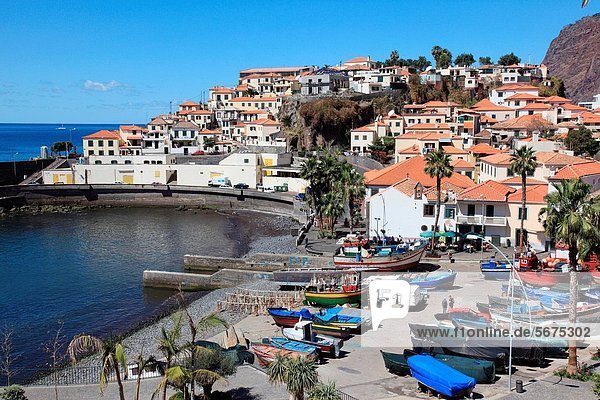 port and fishing boats in the city of Câmara de Lobos  Madeira  Portugal  Europe.