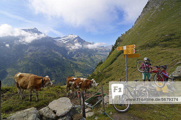 Mountain bikers on the Col des Anderets  Col du Pillon  Gstaad  Saanenland region  Bernese Oberland  Switzerland  Europe
