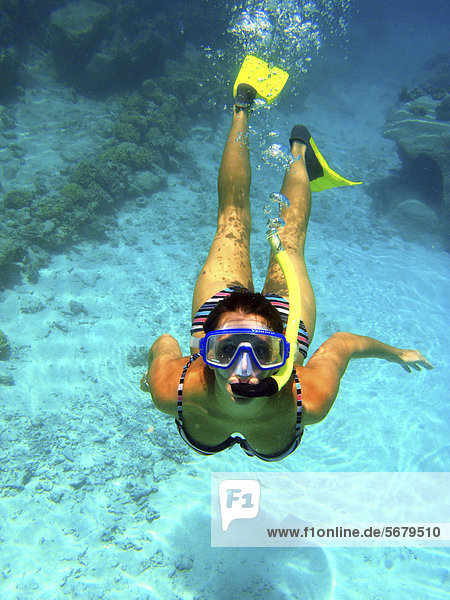 Snorkeller  Bora Bora  Leeward Islands  Society Islands  French Polynesia  Pacific Ocean