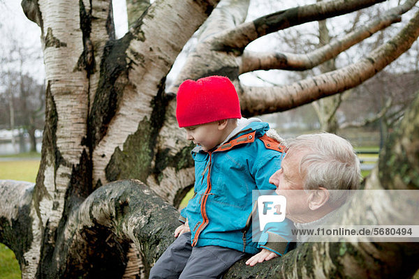 Granfather and boy sitting on tree branch