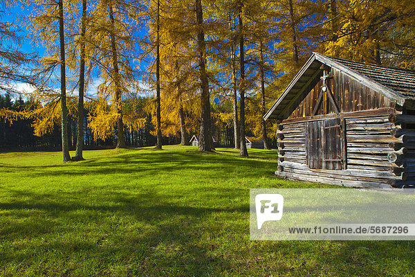 Herbstlandschaft mit Heuschober in Nassereith Österreich