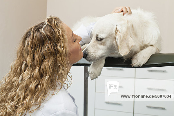 Tierarzt Streichelhund im Büro
