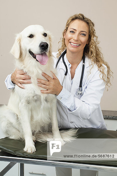 Hund  streicheln  Büro  Tierarzt