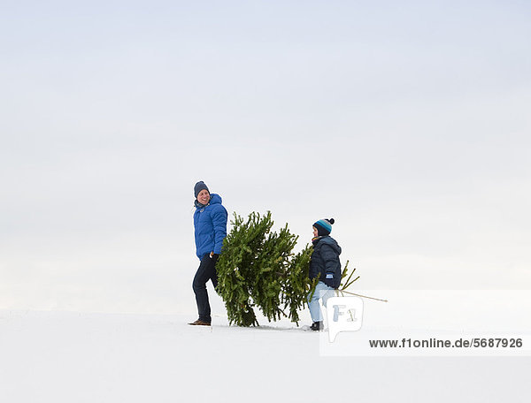 Father and son carrying Christmas tree