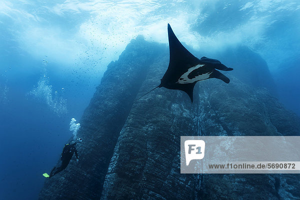 Scuba diver  underwater photographer taking pictures of Giant Oceanic Manta Ray (Manta birostris)  underwater cliffs  Roca Partida  Revillagigedo Islands  Mexico  America  Eastern Pacific