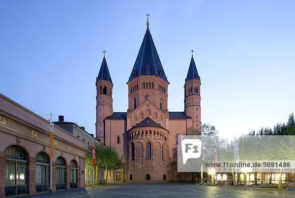 Hoher Dom zu Mainz  St. Martin  Mainz  Rheinland-Pfalz  Deutschland  Europa  ÖffentlicherGrund