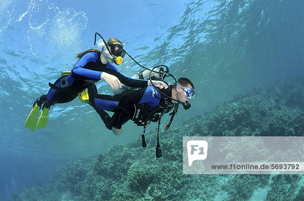 Diver  diving girl  at coral reef  Red Sea  Egypt  Africa
