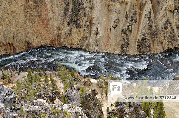 Stromschnellen  Grand Canyon of the Yellowstone River  Blick vom North Rim  Yellowstone National Park  Wyoming  USA