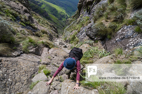 Kletternde Frau am Wanderweg  Sentinel Hiking Trail  Drakensberge  KwaZulu-Natal  Südafrika  Afrika
