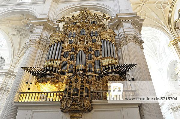 Orgel  Kathedrale Santa Maria de la EncarnacÌon  Kathedrale von Granada  Granada  Andalusien  Spanien  Europa