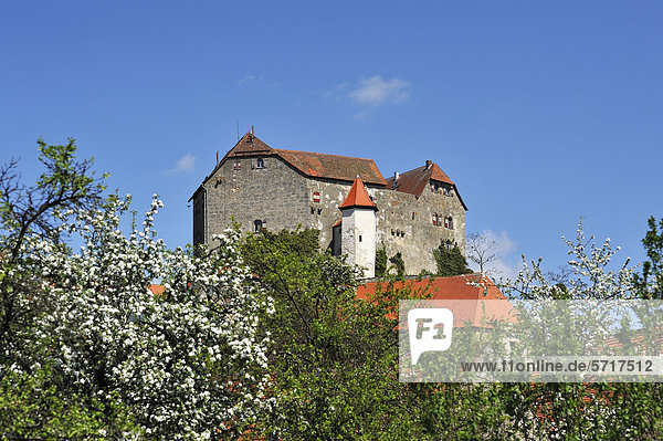Hiltpoltsteiner Burg  1595  vorne blühende Obstbäume  Hiltpoltstein  Oberfranken  Bayern  Deutschland  Europa