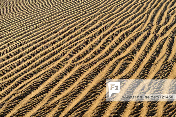 Algerien  Sahara  Blick auf Sanddünen