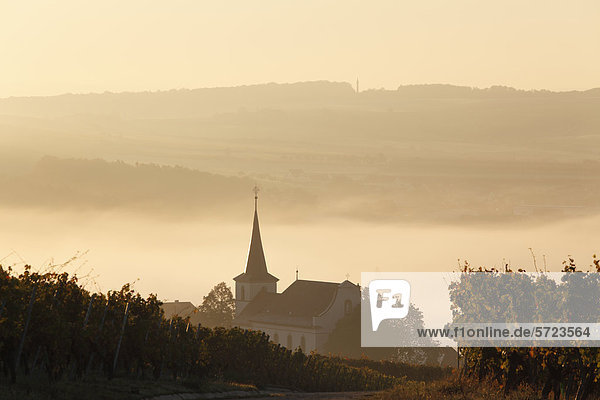 Deutschland Bayern Wipfeld Blick auf Dorf und Weinberg
