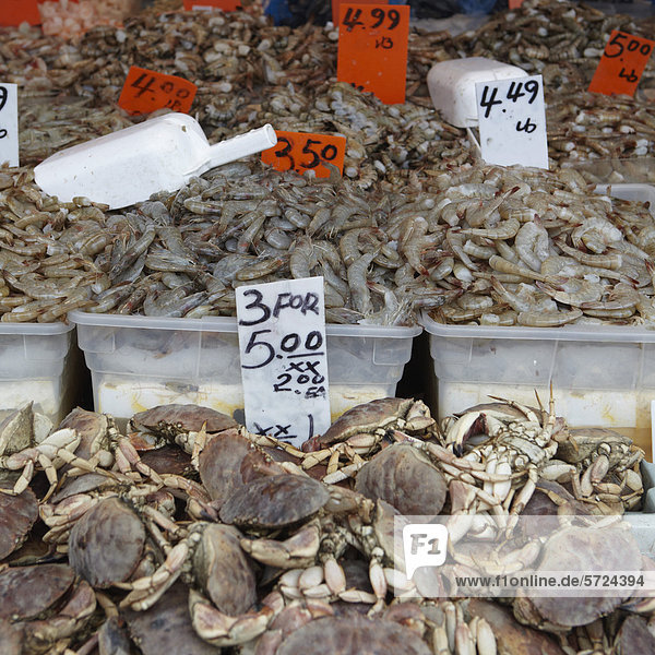 New York  Fischgeschäft in Chinatown