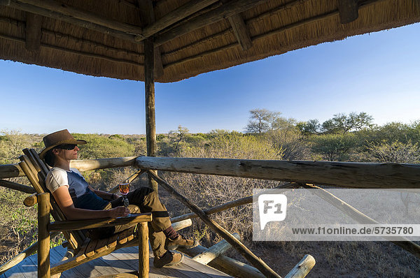 Woman with a hat sitting in a chair holding a glass of champagne  viewing platform  private zoo  Limpopo  South Africa  Africa