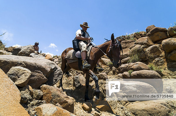 Mann reitet auf Pferd  Hochland  Königreich Lesotho  Afrika