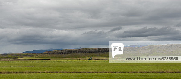 Island  Panoramablick auf Ackerland