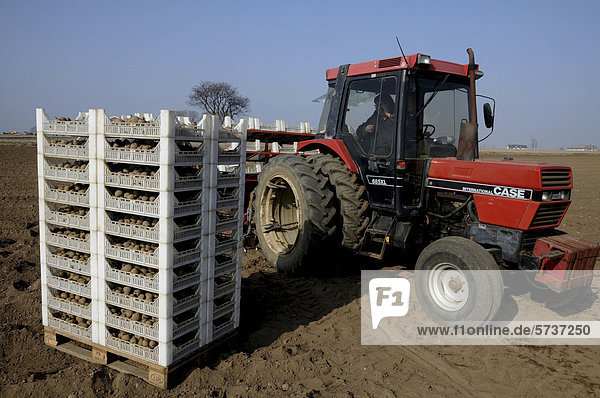 Traktor  Setzen von Frühkartoffeln im März in Süd-Schweden  Europa