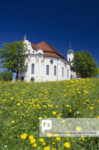 Rokoko Wallfahrtskirche  Wieskirche  Frühlingswiese  UNESCO-Weltkulturerbe  Wies  Steingaden  Oberbayern  Deutschland  Europa