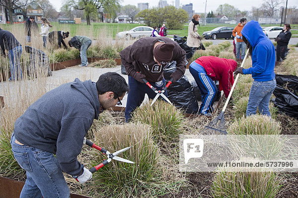 Freiwillige studentische Helfer der Wayne State University beim Umkrautjäten und Beschneiden der Pflanzungen im Roosevelt Park  Detroit  Michigan  USA
