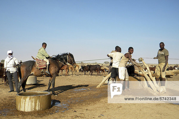 Arabische Stamm an örtlichen Brunnen  Bilitine Gebiet  Tschad