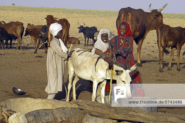 Arabische Stamm  Bahar el-Gazal  Tschad