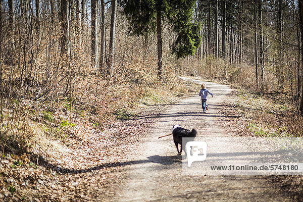 Junge - Person Weg Wald Hund schmutzig