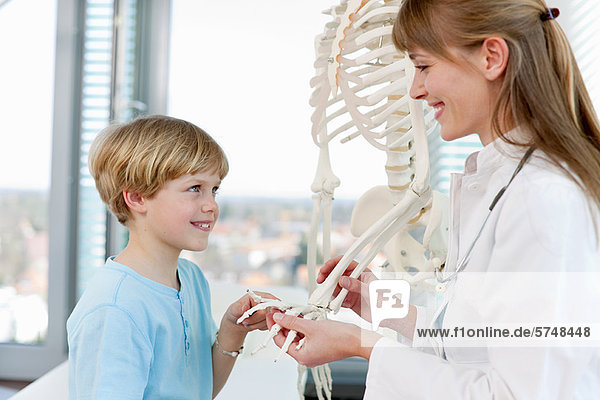 Arzt zeigt Skelettmodell dem Patienten
