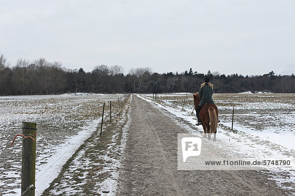 Frau  Weg  Schnee  reiten - Pferd