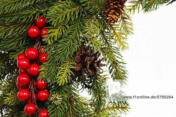 Christmas wreath  studio shot