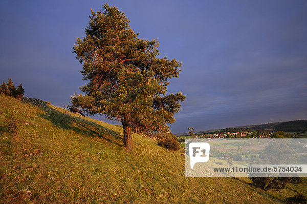 Bayern Deutschland Oberpfalz