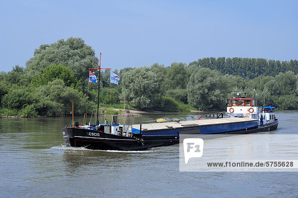 Ship on the Rhine river near Arnheim also known as Arnhem  Gelderland province  Netherlands  Europe
