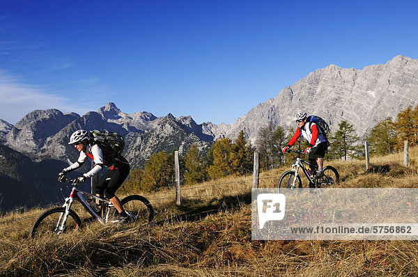 Mountainbikers on Mt Feuerpalven in front of the East Face of Mt Watzmann  Berchtesgadener Land district  Upper Bavaria  Bavaria  Germany  Europe