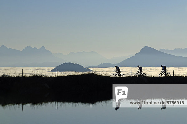 Mountainbiker am Salvensee Hohe Salve Kitzbühler Horn Kitzbühler Alpen Tirol Österreich Europa