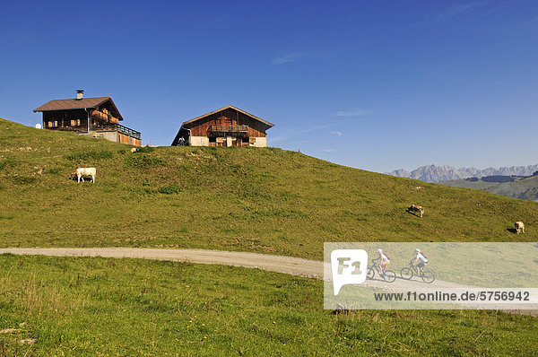 Mountain bikers  Mt Hohe Salve  Kitzbuehel Alps  Tyrol  Austria  Europe