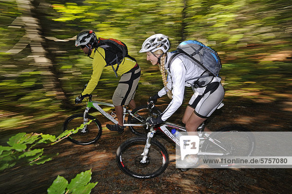 Mountain bikers cycling near Reit im Winkl  Chiemgau  Upper Bavaria  Bavaria  Germany  Europe