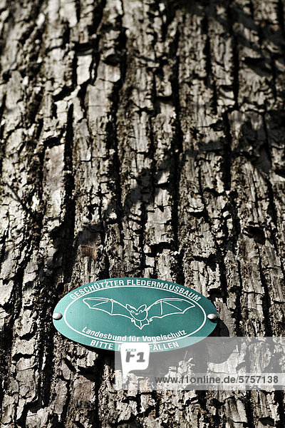 German warning tag  Do not fell this tree because of nesting bats  Munich  Upper Bavaria  Germany  Europe