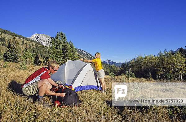 Couple setting up a tent in the Canadian Rockies  Alberta  Canada.