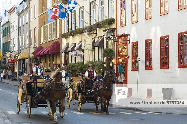 Horse drawn carriage along rue St. Louis  Quebec City  Quebec  Canada.