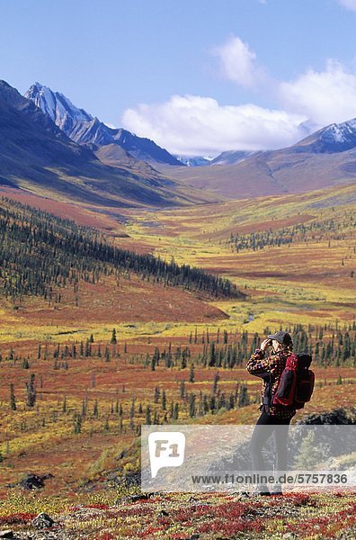 Junge Frau in der Nähe von North Fork übergeben  südlichen Ogilvie Mountains  Yukon  Kanada Wandern.